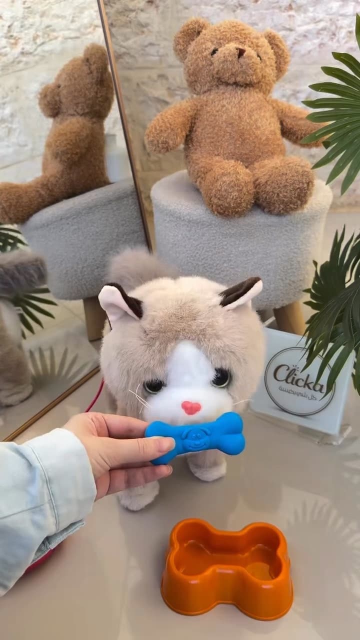 חתולה אינטראקטיבית רוקדת ומדברת 🐱 סרטון 4
