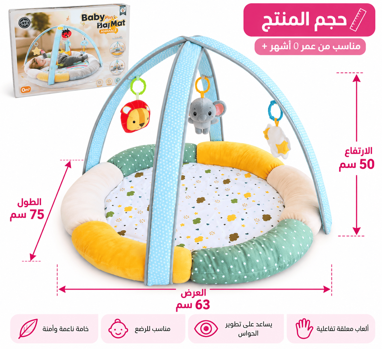 Interactive Baby Play & Activity Mat